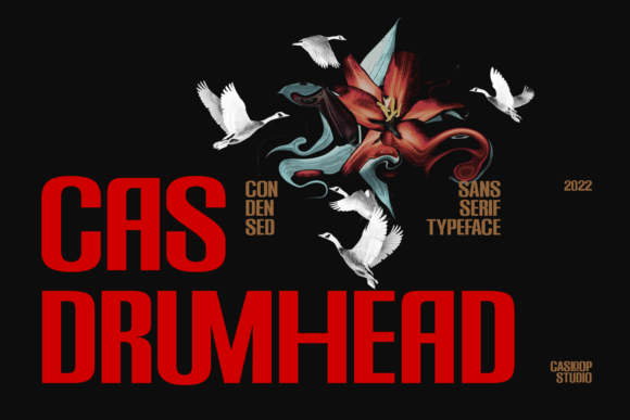 Cas Drumhead: A Fresh Display Font for Crafters
