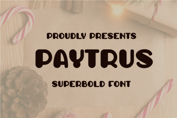 Paytrus: A Real-World Review for Branding